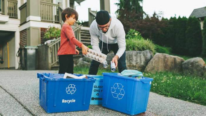 50 Best Recycling Ideas for Families