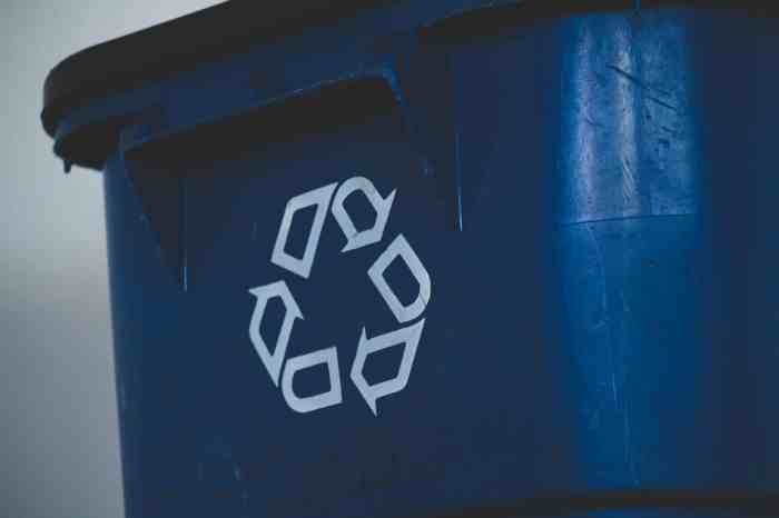 Recycling myths always resolving wanted ve community infographic decided basis remember Recycling myths always resolving wanted ve community infographic decided basis remember