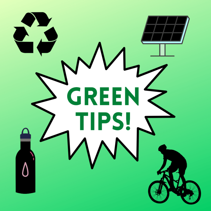 30 Recycling Tips for a Greener City