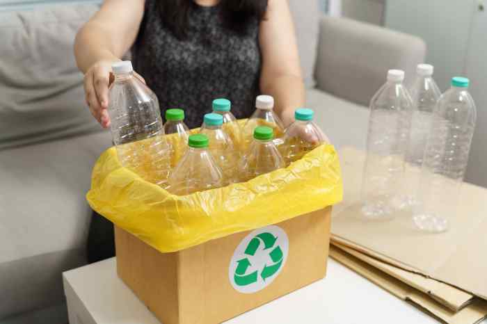 50 Easy Recycling Tips for Beginners