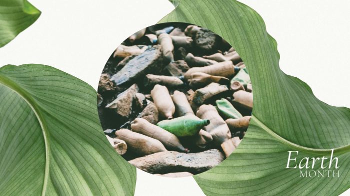 100 Recycling Facts That Will Change Your Perspective