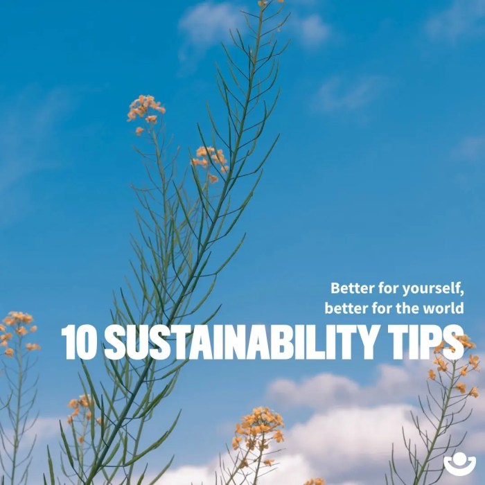 40 Recycling Tips for a More Sustainable Life