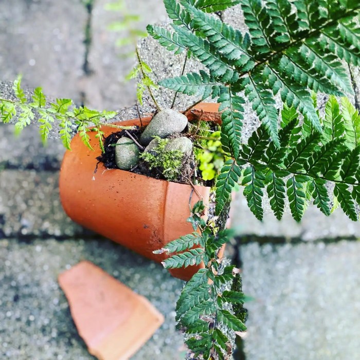Garden ideas recycled recycling italy ewa hand clark corte eremo spotted idea picked szulc Garden ideas recycled recycling italy ewa hand clark corte eremo spotted idea picked szulc