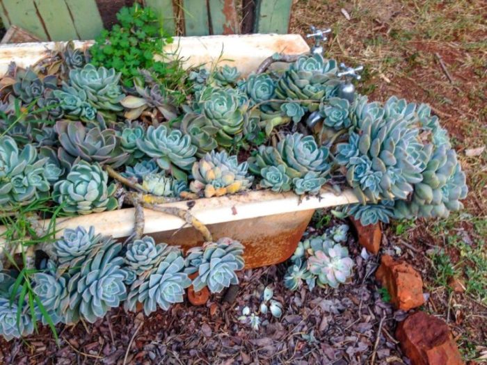 Ideas recycling creative garden Ideas recycling creative garden