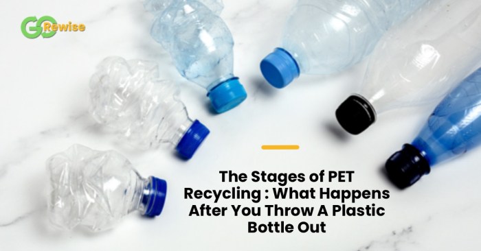 Recycling Recycling