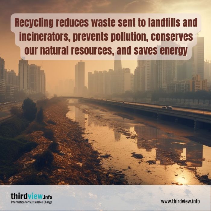 9 Ways to Reduce Your Impact on the Environment Through Recycling