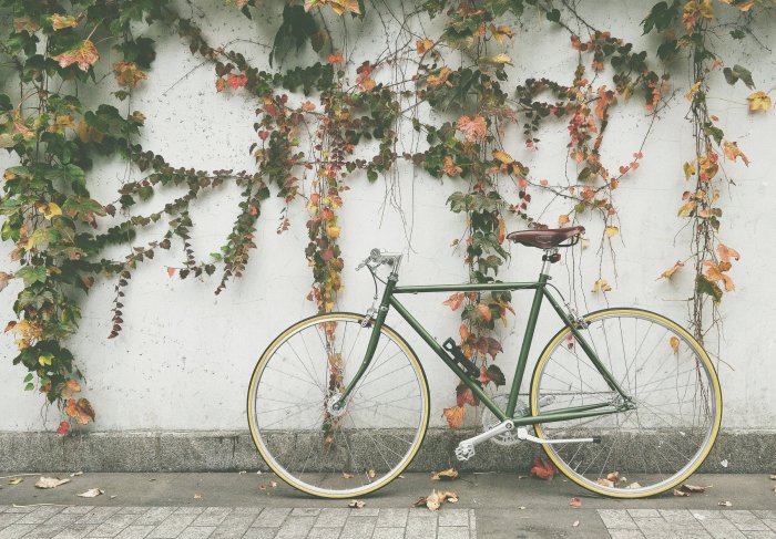 9 Ways to Reduce Your Impact on the Environment Through Recycling