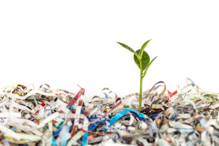 100+ Recycling Ideas to Save Money and the Planet