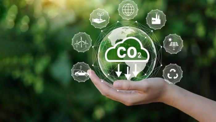 30 Recycling Tips for a Greener Planet and a Sustainable Future