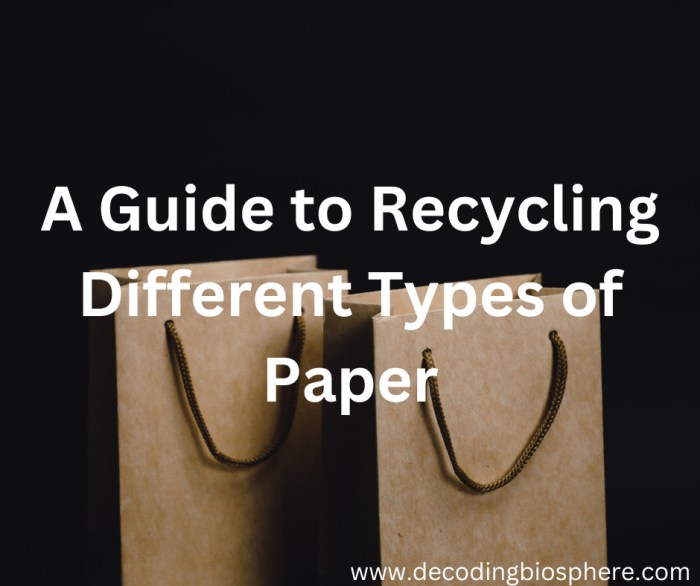 4 Types of Paper and How to Recycle Them
