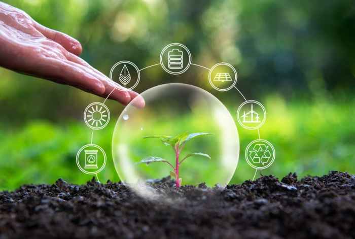 25 Simple and Effective Ways to Reduce Your Environmental Impact