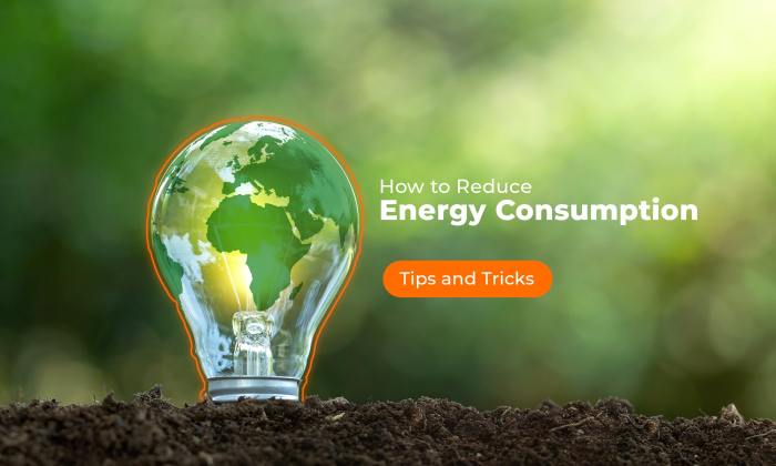 9 Ways to Recycle and Reduce Your Energy Consumption