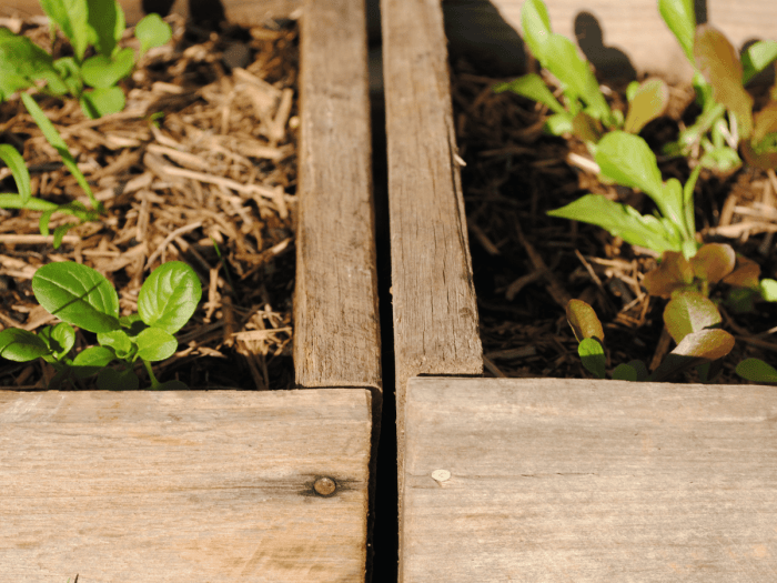 9 Smart Ways to Reduce Waste in Your Garden