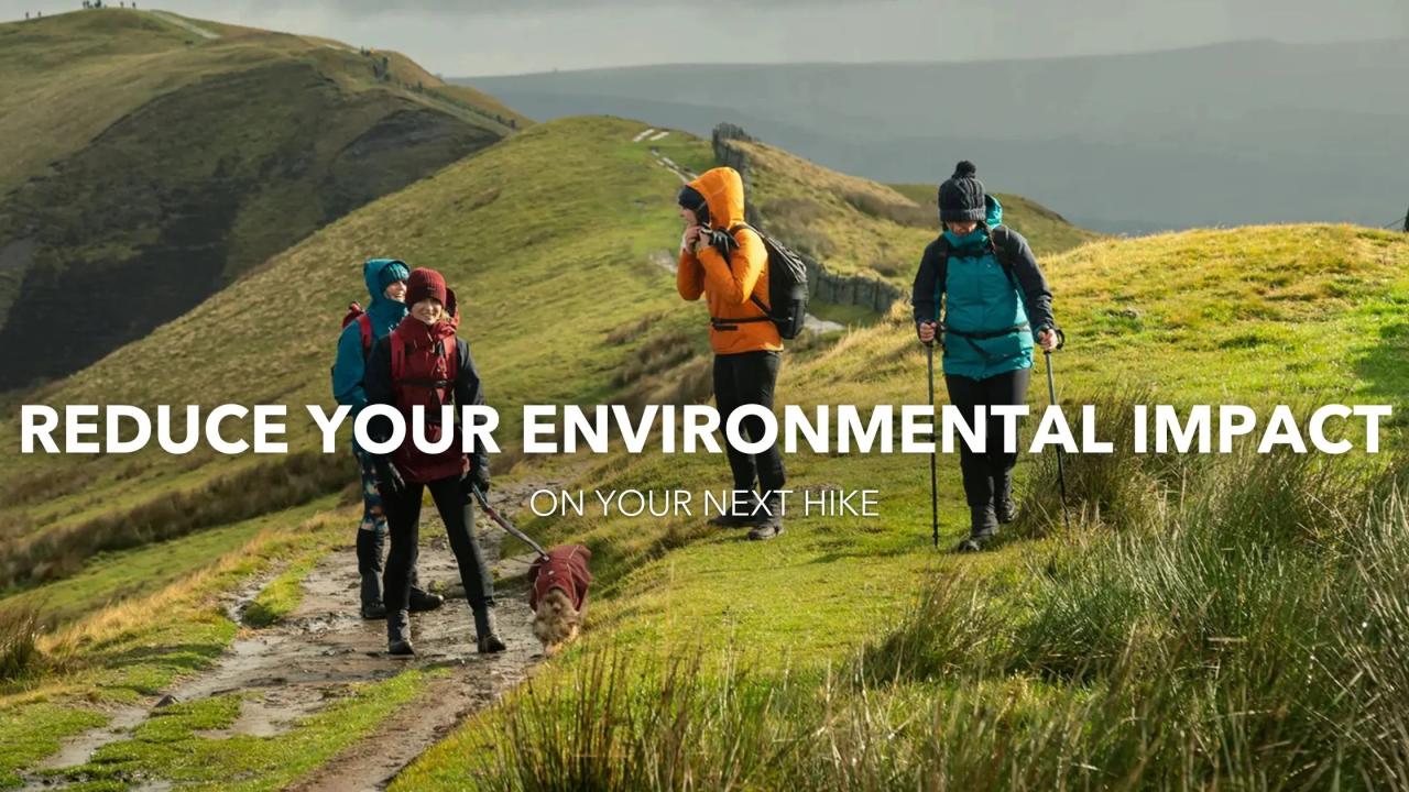 25 Simple and Effective Ways to Reduce Your Environmental Impact