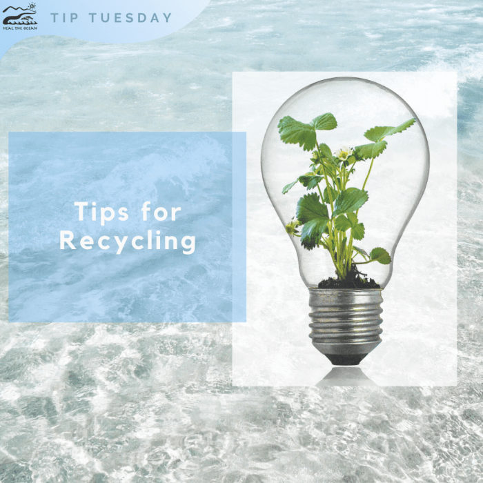 30 Recycling Tips for a Healthier Planet and a Thriving Environment