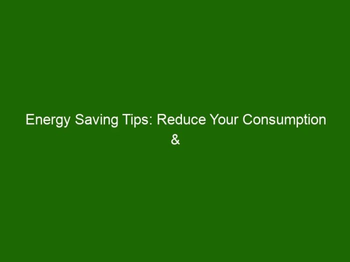 9 Ways to Recycle and Reduce Your Energy Consumption