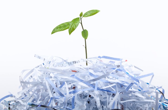 Paper recycle recycling life shredded sustainability regulatory without what stickies papers once recycled uses concept would happens control waste recyclenation