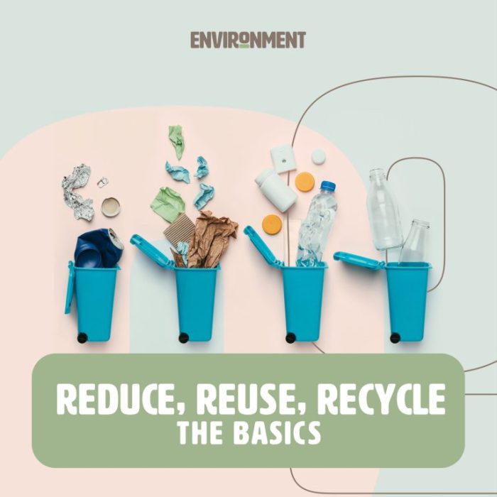 75 Recycling Tips for a More Sustainable and Environmentally Conscious Life