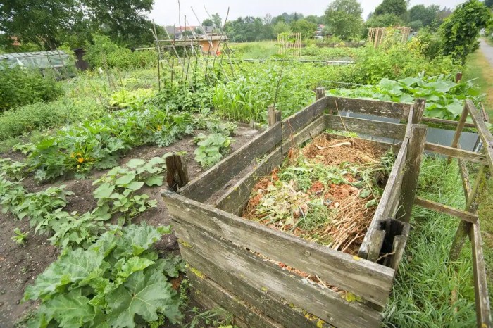 9 Smart Ways to Reduce Waste in Your Garden