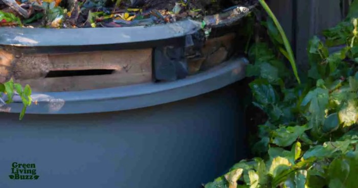 11 Secrets to Successful Composting at Home