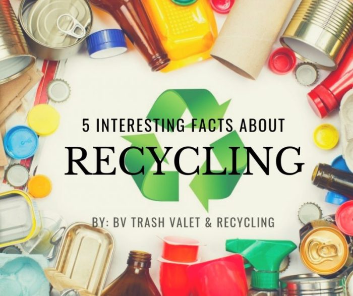 Recycling fun