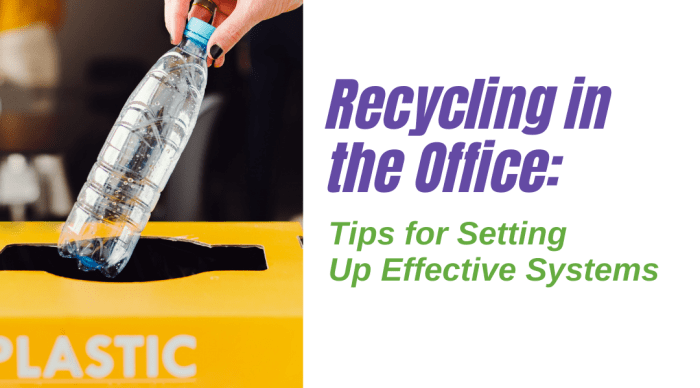 12 Recycling Tips for a Greener Office