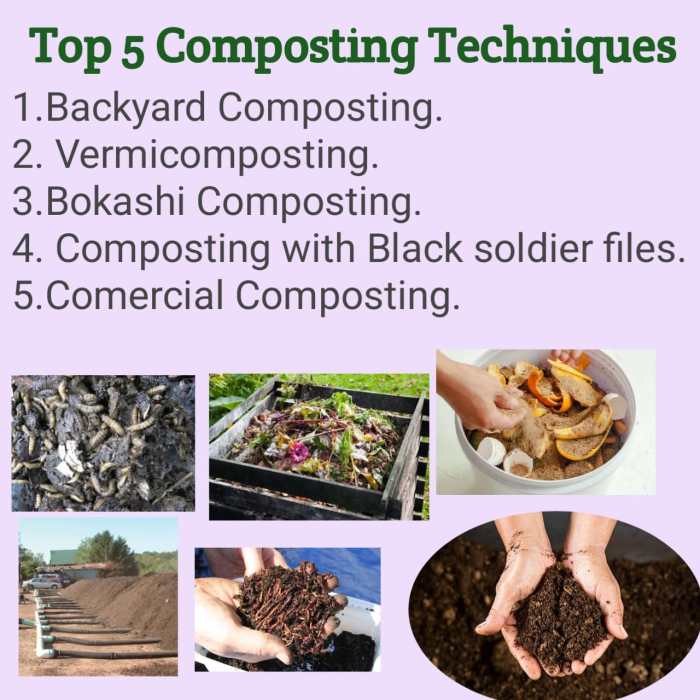 11 Secrets to Successful Composting at Home