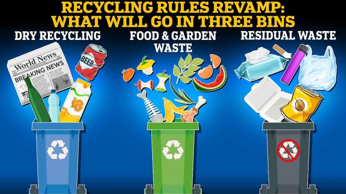 3 Steps to Choosing the Right Recycling Bins