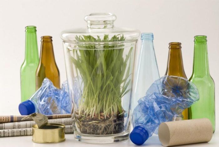 Friendly eco tips rismedia ways share transform