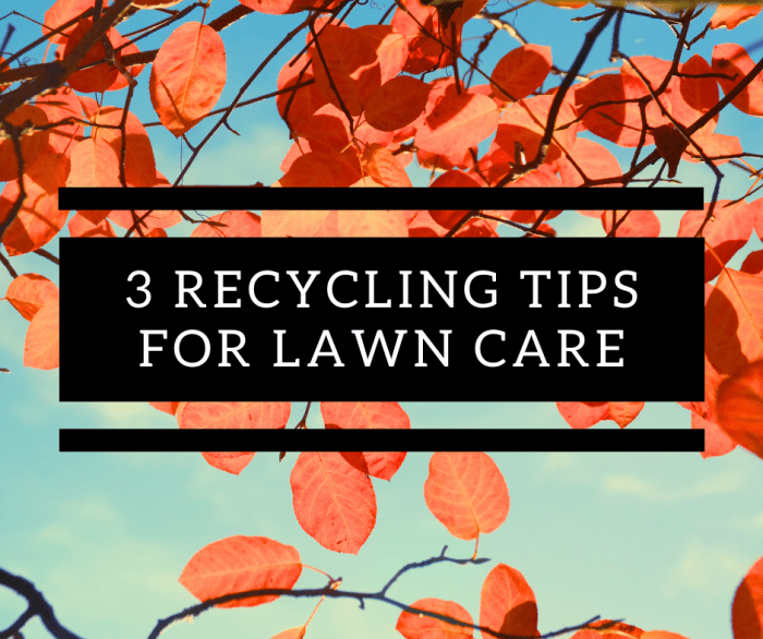 4 Tips for Recycling in Your Backyard