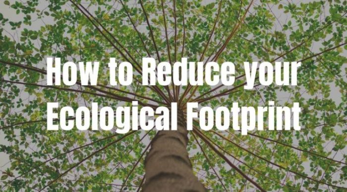 9 Ways to Reduce Your Environmental Footprint