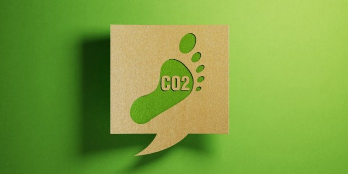 Footprint environmental reduce ways sustainability