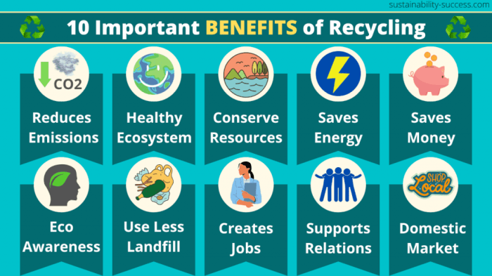 10 Reasons Why Recycling is Important (and How You Can Help)
