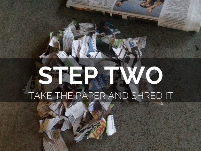 5 Weirdly Satisfying Ways to Recycle Paper