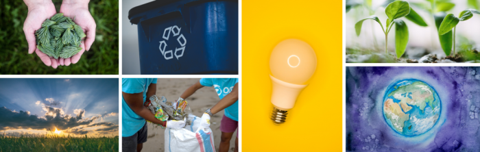 Lettering vettore inchiostro iscrizione cambi differenza piccoli motivation spazzola Lettering vettore inchiostro iscrizione cambi differenza piccoli motivation spazzola