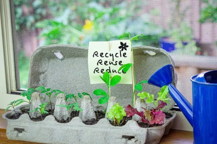 Recycling sustainability swan threat belief harmony1 Recycling sustainability swan threat belief harmony1