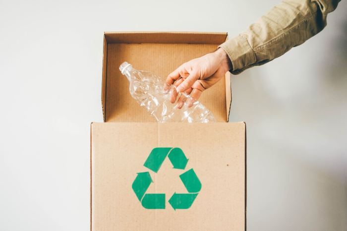 7 Common Recycling Mistakes You Might Be Making