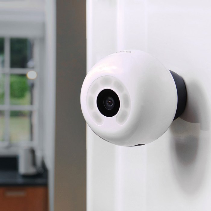 10 Smart Ways to Reduce Food Waste at Home