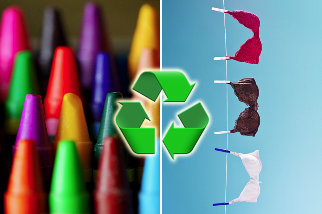 10 Surprising Items You Can Recycle (and How!)