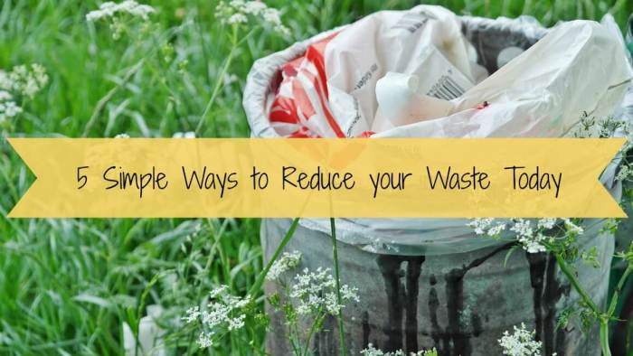25 Easy Ways to Reduce Waste and Live More Sustainably