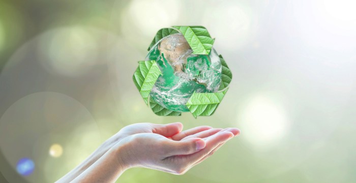 Recycling quiz worksheet grade planet lesson 4th reviewed curated lessonplanet reviewer rating