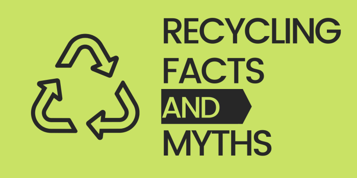 10 Myths About Recycling That You Should Stop Believing