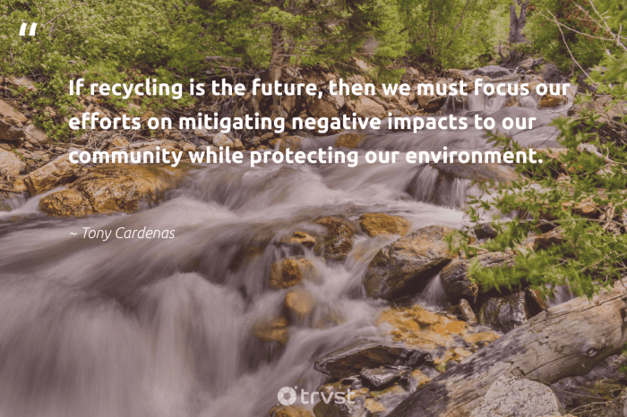50 Best Recycling Quotes to Inspire You