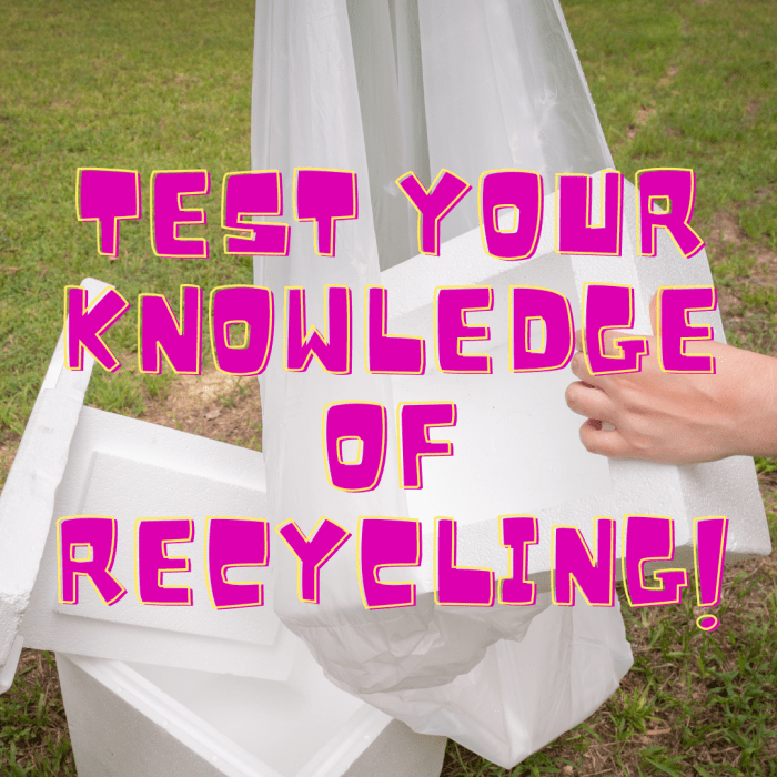 10 Common Recycling Questions Answered