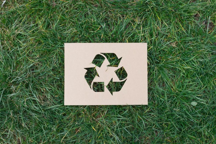 25 Easy Ways to Reduce Waste and Live More Sustainably