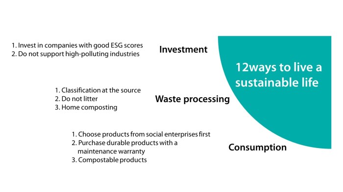 7 Steps to a Sustainable Lifestyle