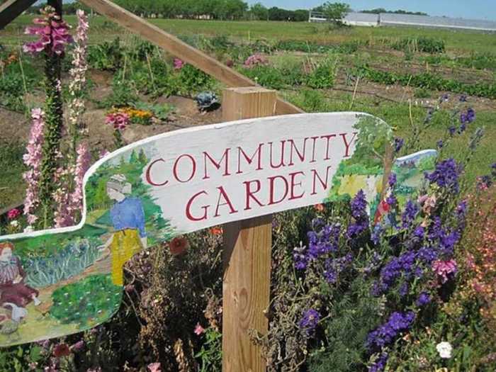 3 Simple Steps to Start a Community Garden