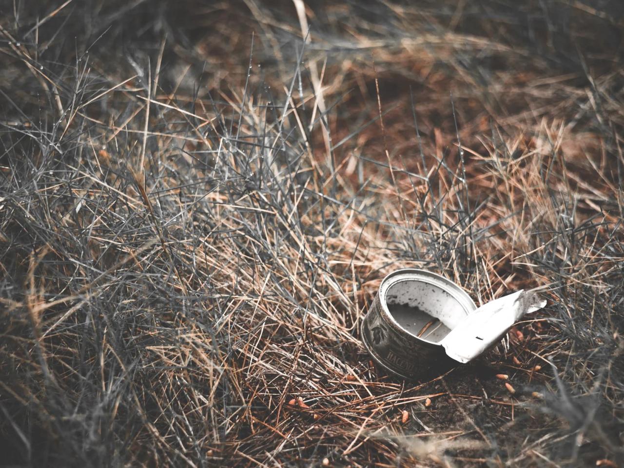 7 Tips for Recycling While Camping