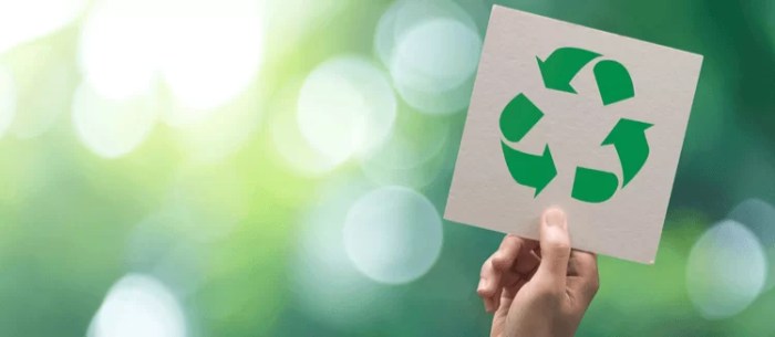 50 Easy Ways to Reduce Your Environmental Impact